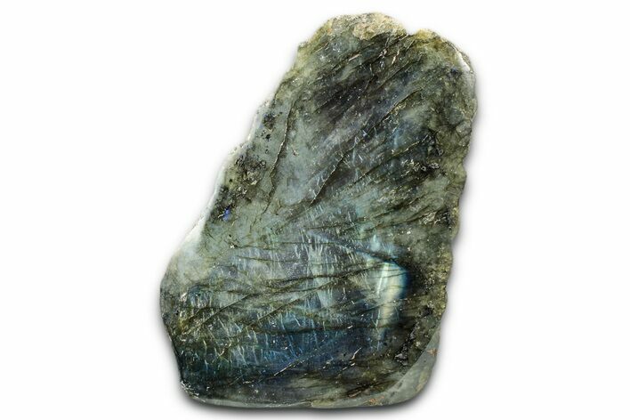 Tall, Single Side Polished Labradorite - Free-Standing #341827
